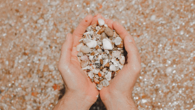 Hands holding a mix of small seashells and pebbles on a sandy beach.