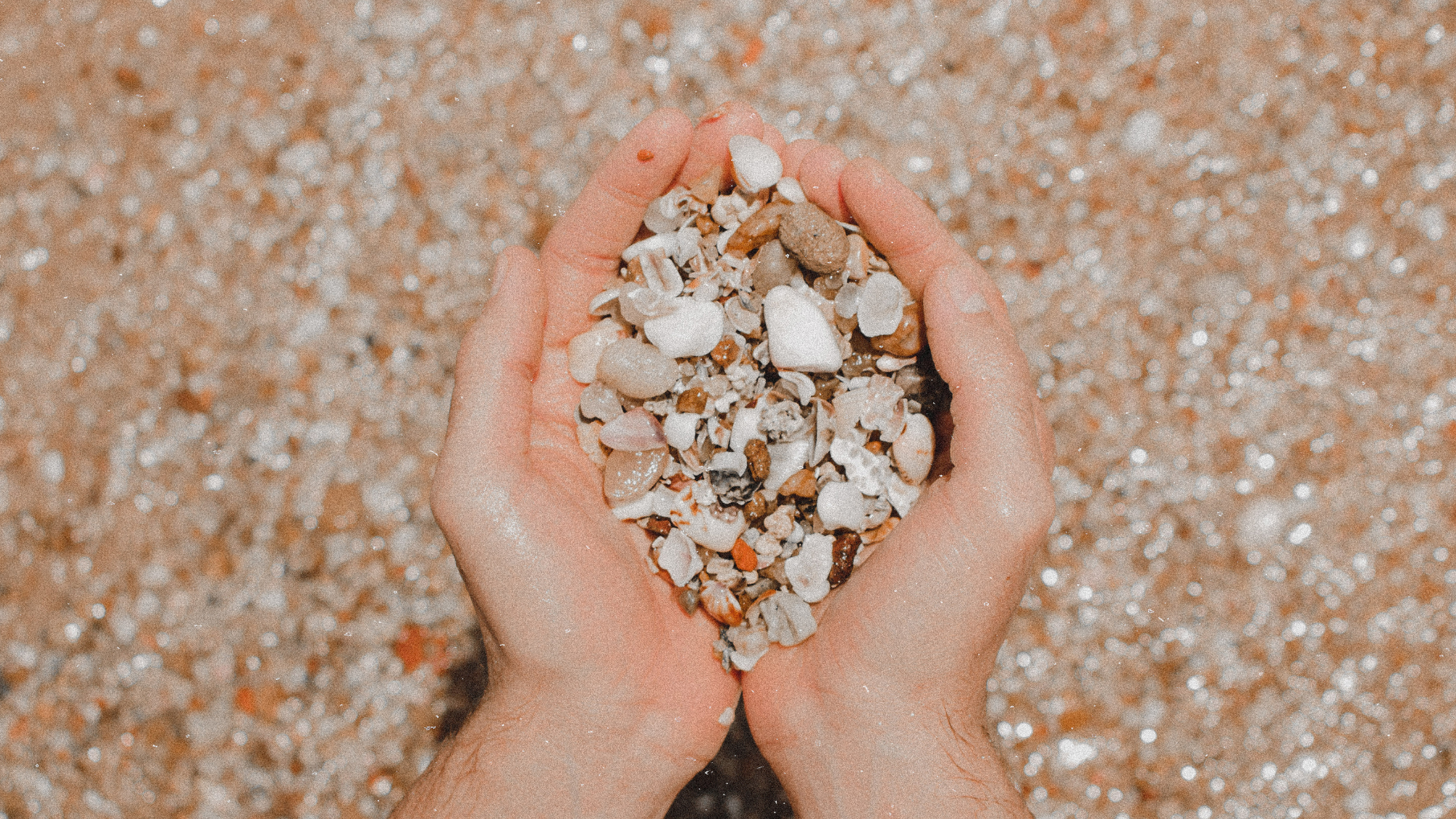 Hands holding a mix of small seashells and pebbles on a sandy beach.